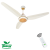 Tamoor Ceiling Fan Executive 56'' (30W ECO-SMART)  Colour Light Wood (HAMMALL-2)